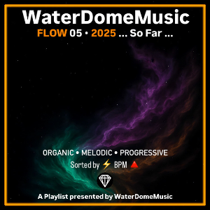 FLOW 05 • 2025 (BPM)