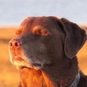 Melting Floating Smiling