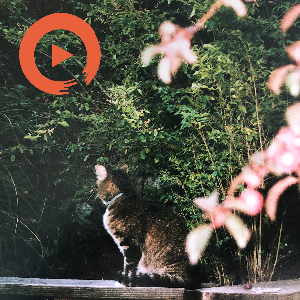 Every Being Loves Sunshine & Serenity