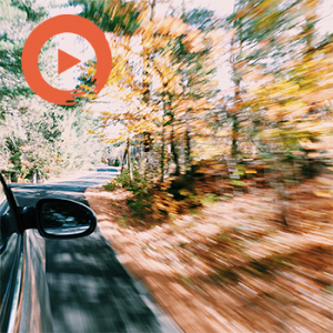 A Mellow Daydream by musicto