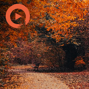 Plot Twist - Fall by musicto | Listen on Spotify, Apple Music, Amazon Music & more