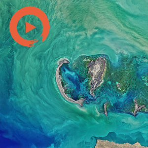 Wonders From The Island