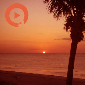 Disco in the Beach House by musicto