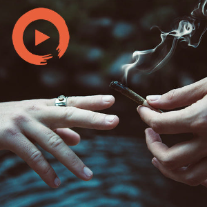 Guess What Otis and Andrew Did AGAIN?