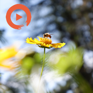 Sunshine & Honey by musicto | Listen on Spotify, Apple Music, YouTube Music & more