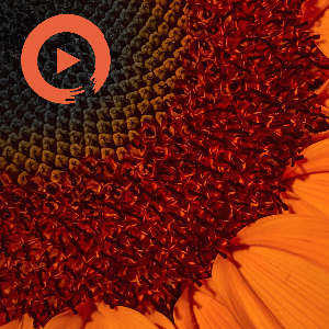 All Enveloping, All Encompassing