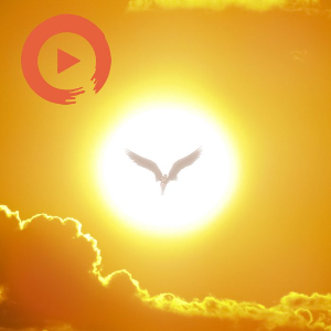 Icarus Melts in the Sun