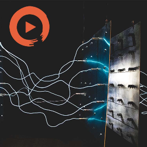 Are Friends Eclectic? These Friends Are!