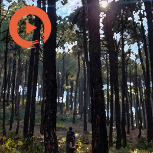 Hike with Me by musicto