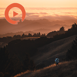 Take it Easy by musicto