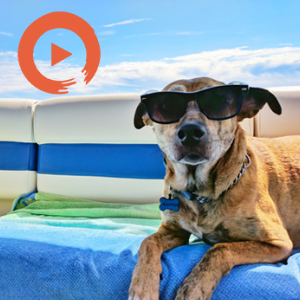 cool electronic? by musicto