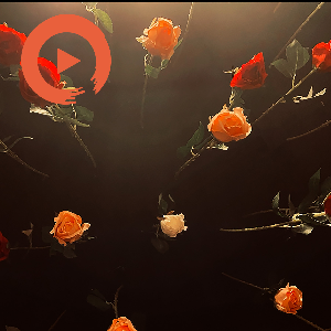 Soul-twine by musicto | Listen on Spotify, Apple Music, YouTube Music & more