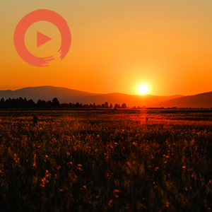 Orange Twilight by musicto