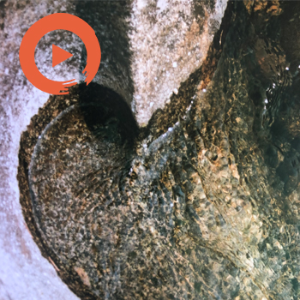 Transcendence to Tranquility