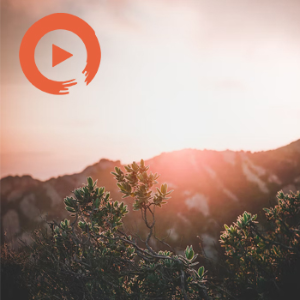 This Must Be the Place by musicto | Listen on Spotify, Apple Music, YouTube Music & more