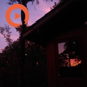 Evening Groove by musicto