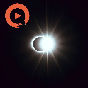 Massive Attacks Sook-Yin Lee