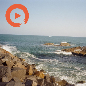 Azh & Matt's Music Roster