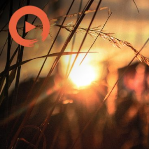 Golden Years by musicto