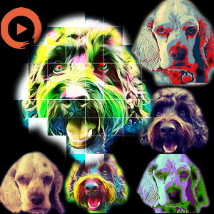 Ollie & Bowser's Psychedelic Dream