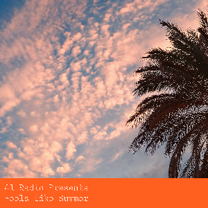 Feels Like Summer by 41 Radio