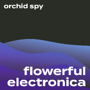 flowerful electronica by orchids