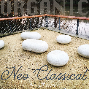 Organic Neo Classical⎟Aurasky Music