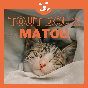 TOUT DOUX MATOU