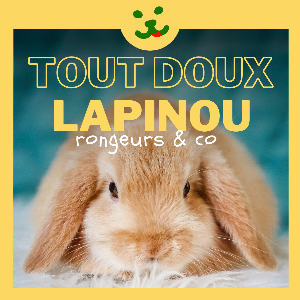 TOUT DOUX LAPINOU