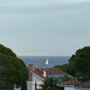 2025 Wrapped by Blue Note Dispatch