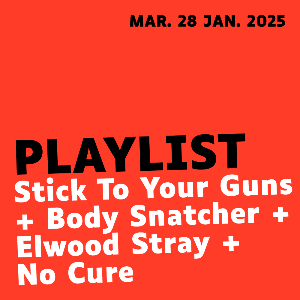 Concert Stick To Your Guns + Body Snatcher + Elwoo