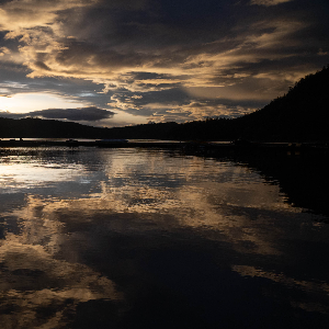 New Music - May 2025