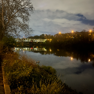 Calm☔️ by DJ Savage