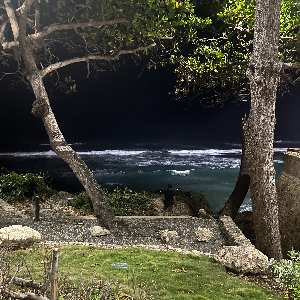 Reggaeton Favoritos😁 by DJ Savage