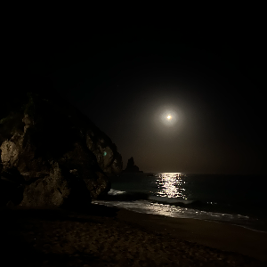 Reggaeton Tranquilo🥶 by DJ Savage